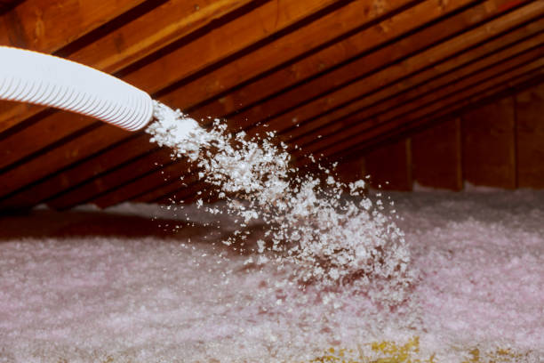 Best Home Insulation Services  in Johnson City, NY