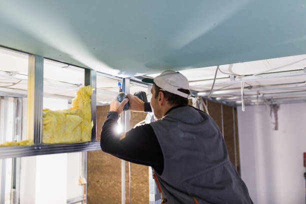 Best Attic Insulation Installation  in Johnson City, NY