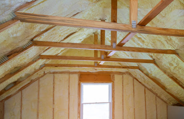 Best Energy-efficient Insulation  in Johnson City, NY