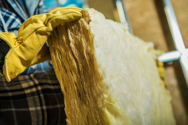 Best Insulation Contractors for Homes  in Johnson City, NY