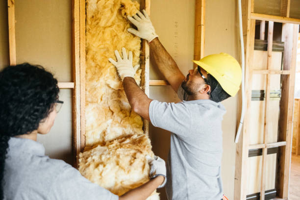Best Insulation Removal Services  in Johnson City, NY