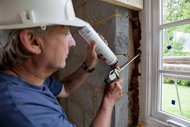 Best Insulation Inspection Services  in Johnson City, NY