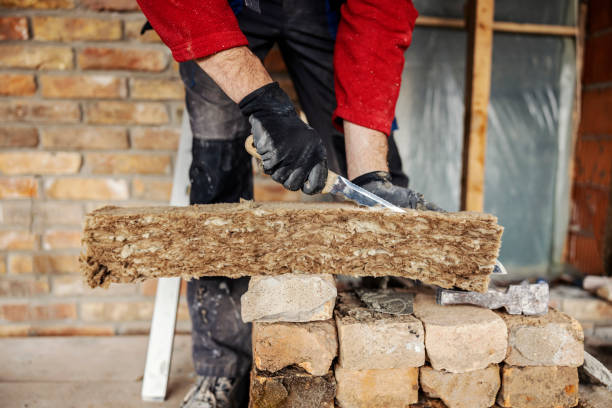 Best Local Insulation Services  in Johnson City, NY