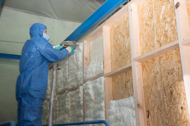 Best Insulation Replacement Services  in Johnson City, NY
