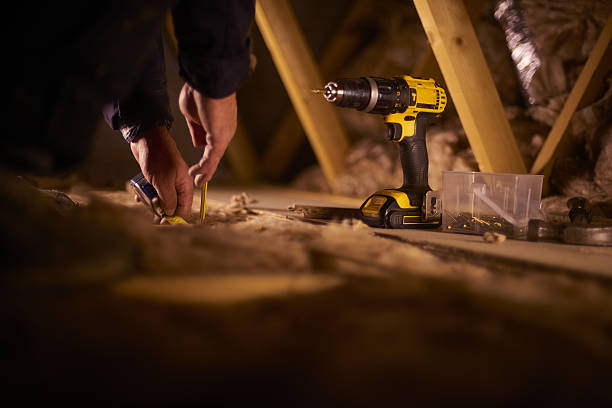 Best Insulation Repair Services  in Johnson City, NY